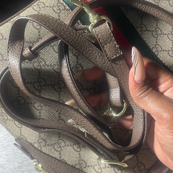 Med Size Dome Ophidia - Picture 5 of 5